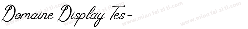 Domaine Display Tes字体转换